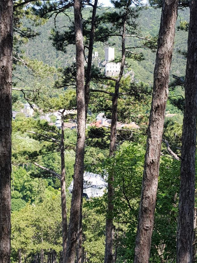Aurelius Pension Μπάντεν Εξωτερικό φωτογραφία